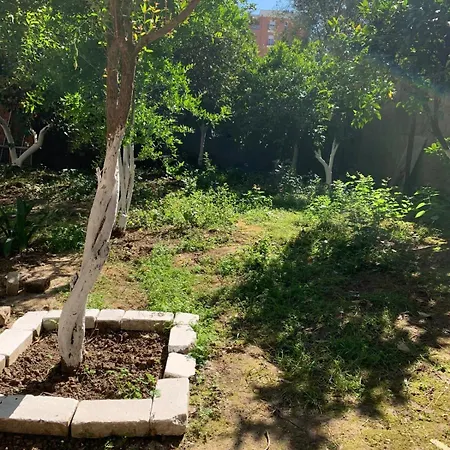 Hortus Aurantii 티라나