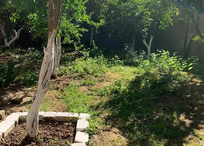 Hortus Aurantii Tirana